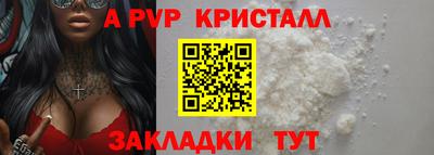 спиды Дубна