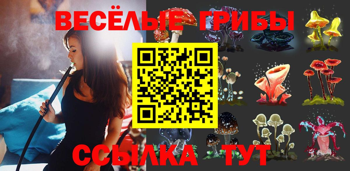 Галлюциногенные грибы Cubensis  Вход с VPN  Мыски 