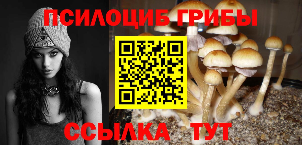 Экстази  Каннабис  МДМА  A-PVP СОЛЬ кристаллы  Вход с VPN  COCAIN  Мыски  МЕФ  