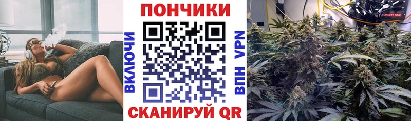 Конопля сатива  hydra ONION  Мыски  дарк нет наркотические препараты  купить  